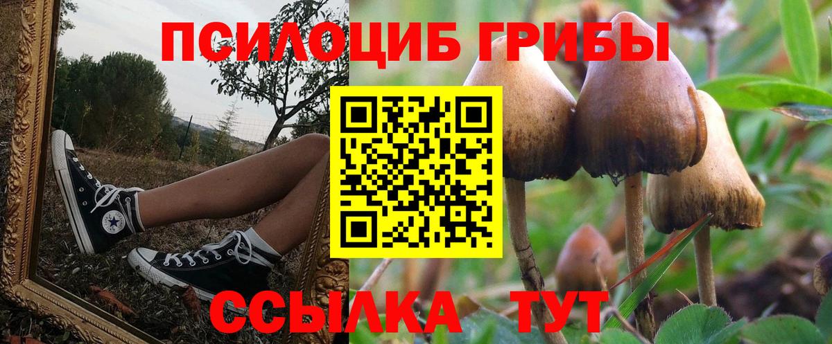 Псилоцибиновые грибы мицелий Алапаевск