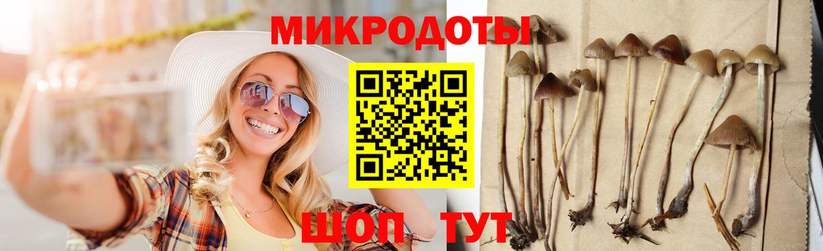 Галлюциногенные грибы ЛСД  Псилоцибиновые грибы прущие грибы  Вход с VPN  Алапаевск 